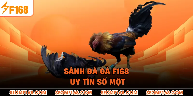 Sảnh đá gà F168 uy tín số một